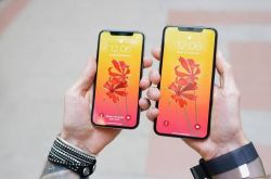 科技晚報(bào)：蘇寧下調(diào)iPhone XS系列售價(jià) 日企將推出